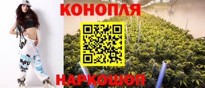 прущие грибы Гусев