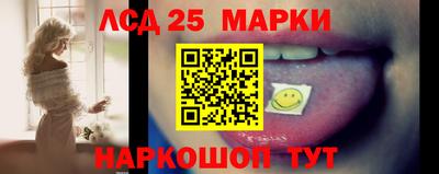спайс Гатчина