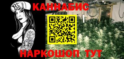 ешки Гай