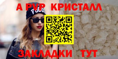 ешки Гай