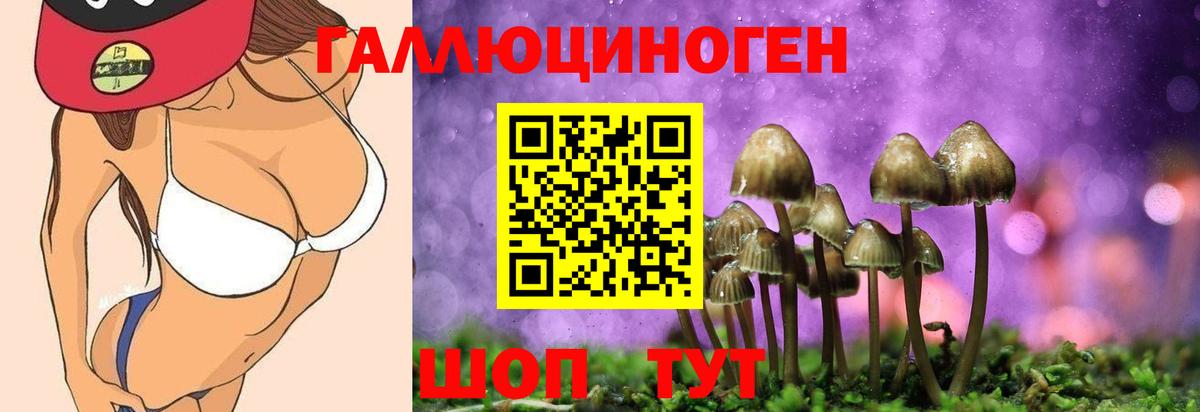 Петровск  Галлюциногенные грибы Magic Shrooms  Галлюциногенные грибы мицелий  купить  сайты  Вход с VPN 